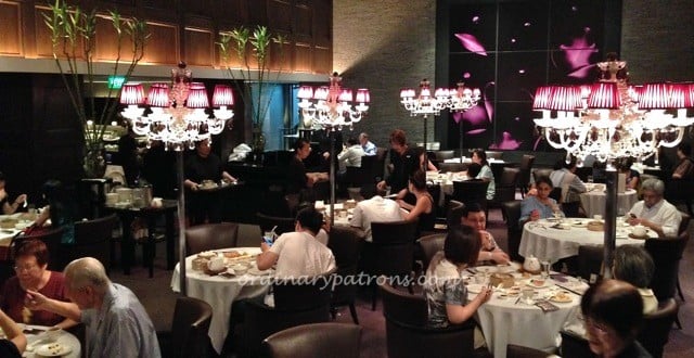 CrystalJade Paragon6