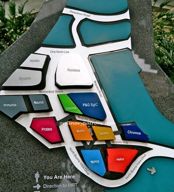 Biopolis neighbourhood01