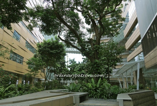 Biopolis neighbourhood11