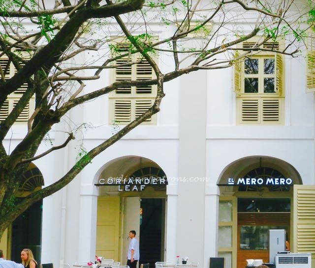 Coriander Leaf Chijmes - 2