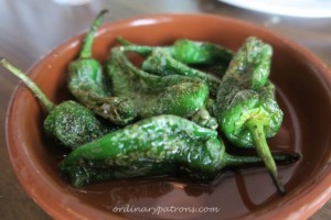 Pimientos or Pimentos de Padron