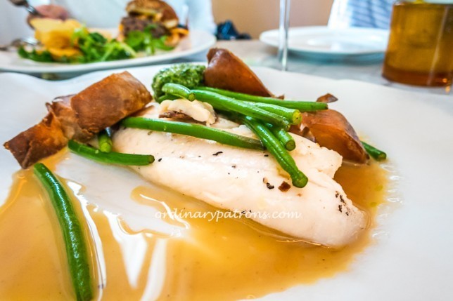 Prive ACM - Baby Red Snapper