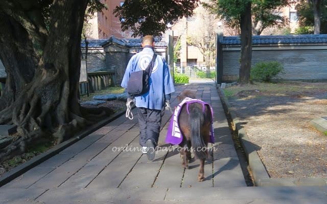 Ochanomizu Guitar Street - 1