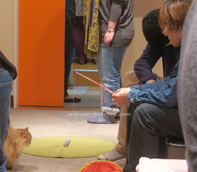 Akihabara Tokyo Anime - 10