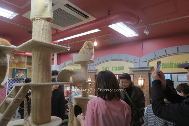 Ikebukuro attractions - 10