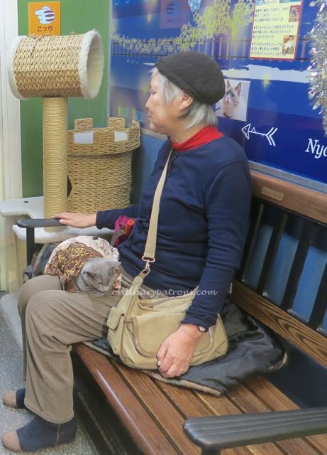 Ikebukuro attractions - 12