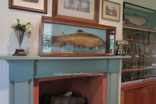 Tasmania Attractions East Norfolk - 9