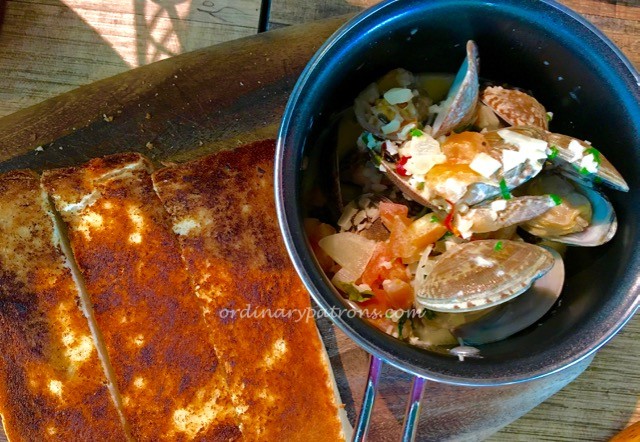 Bodacious Biopolis 2016 - 2