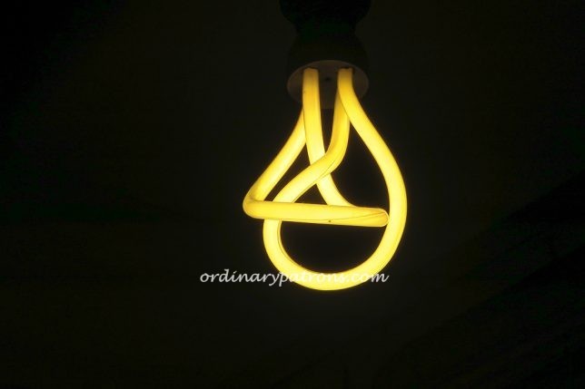 Gatronomia Paragon-13