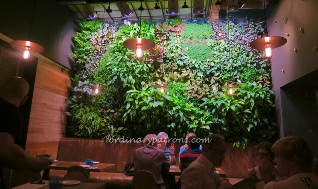 Mamarracha Seville - 3