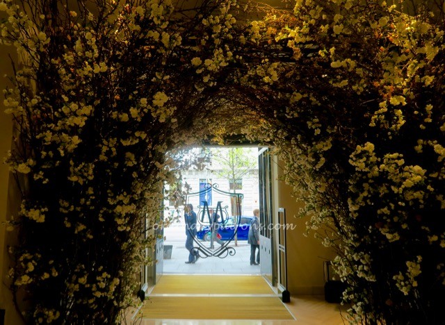 Masimmo Dutti store Serrano Madrid - 1