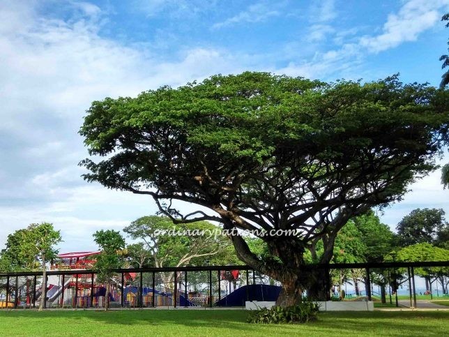 New Marine Cove Children's Playground