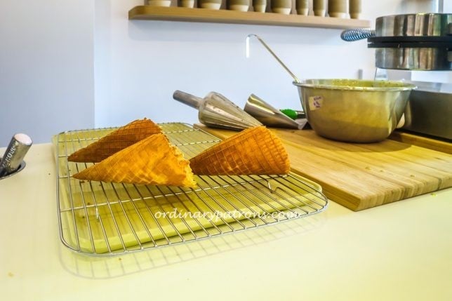 Birds of Paradise Thyme Cone