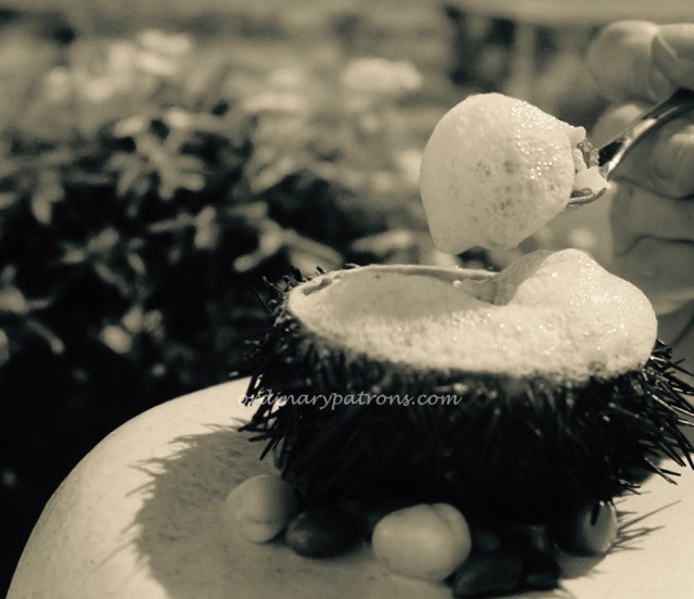 Esquina Singapore - 12