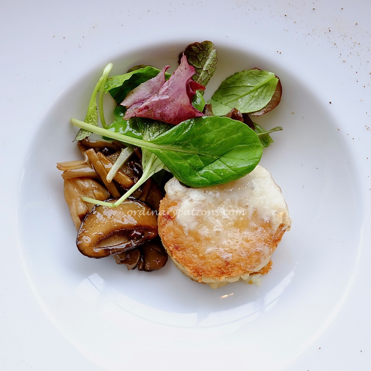 botanica-tokyo-midtown-terence-conran-1