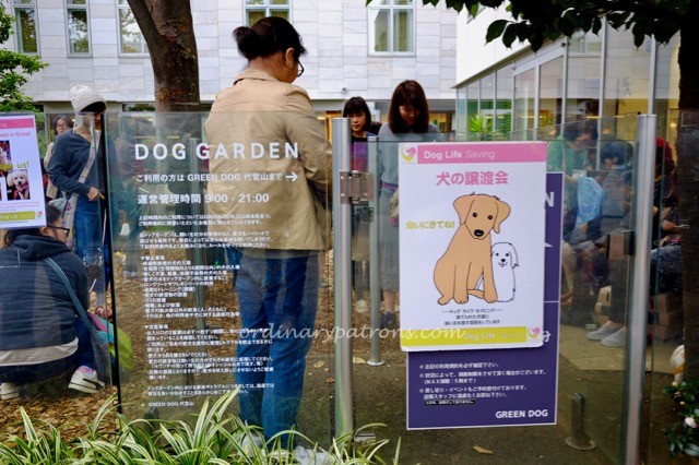 eating-in-tokyo-daikanyama-t-site-1-2