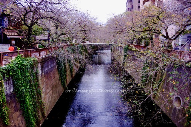eating-in-tokyo-nakameguro-1