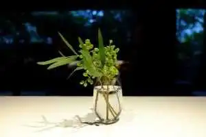 leffervescence-toyko-michelin-restaurant-5