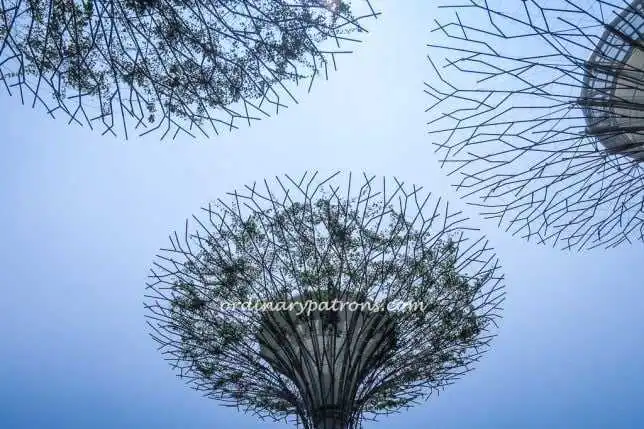 Supertrees Gardens by the Bay