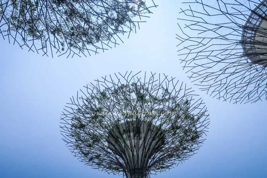 Gardens by the Bay