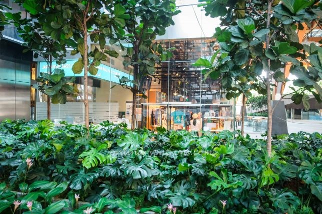 Japan Rail Cafe Singapore