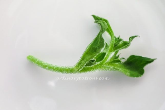 Downtown Gallery Venue by Sebastian