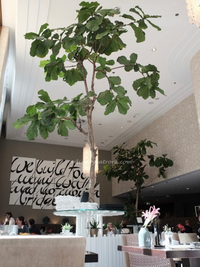 Three Nice Restaurants in Munich for non-German/Bavarian food