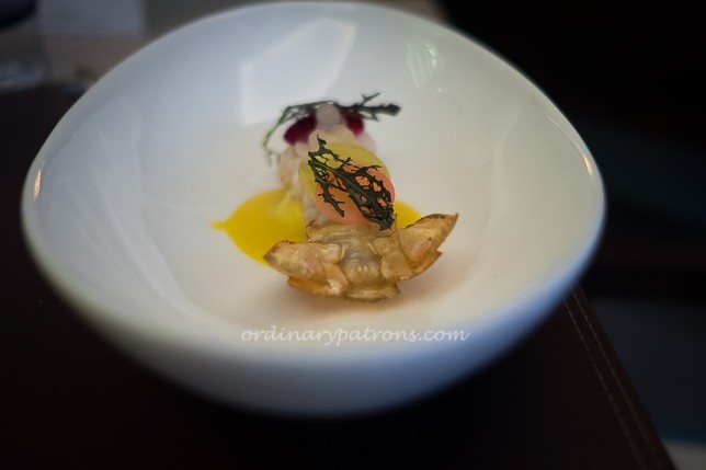 Crispy langoustine, radish, yuzu and saffron