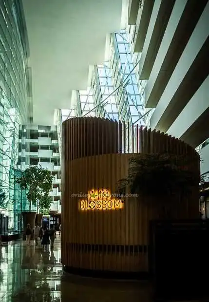 Blossom Restaurant