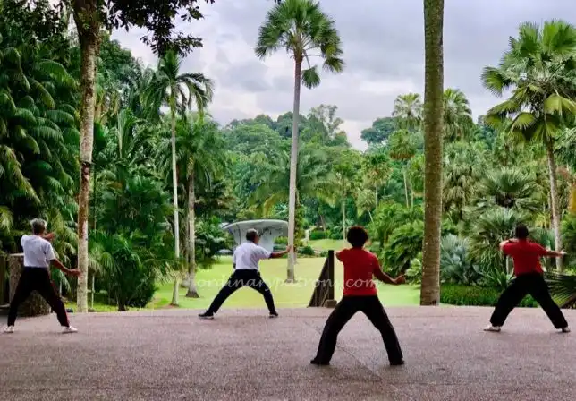 Singapore Botanic Gardens