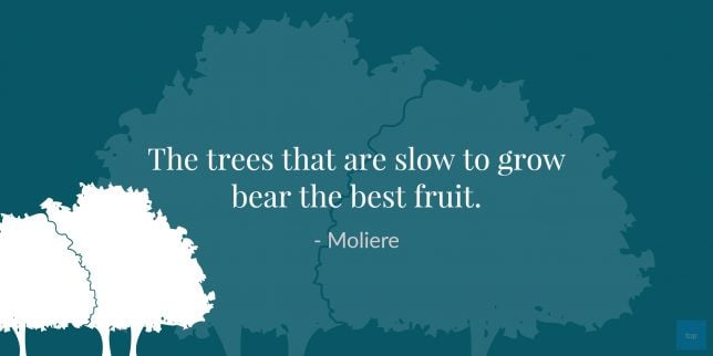 Quote : The trees that are slow to grow bear the best fruit.