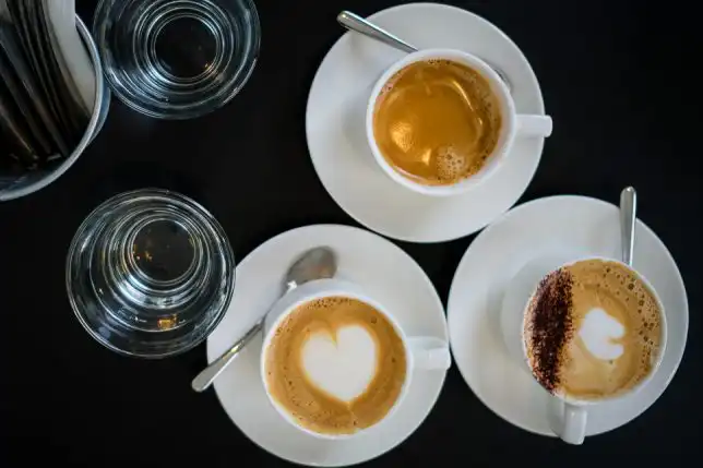 Wildseed Café Coffee