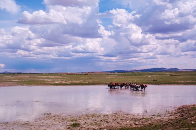On the way to Karakorum