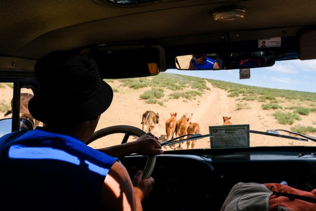 trip to Karakorum - off road experience