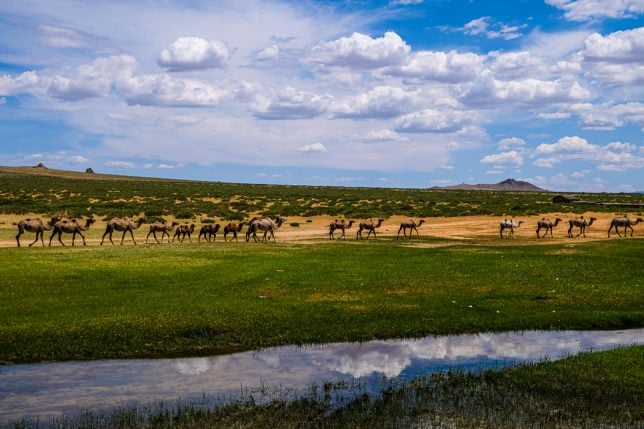 On the way to Sweet Gobi Geolodge