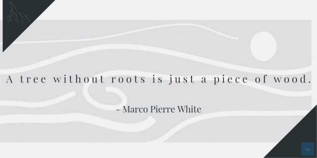 A tree without roots is just a piece of wood.
- Marco Pierre White quote
