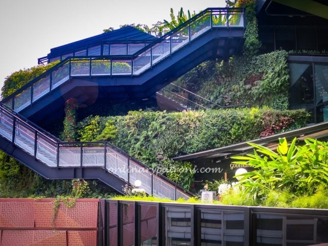 Funan Mall Sky Garden