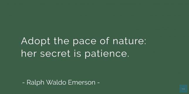 Adopt the pace of nature: her secret is patience.
Ralph Waldo Emerson quote