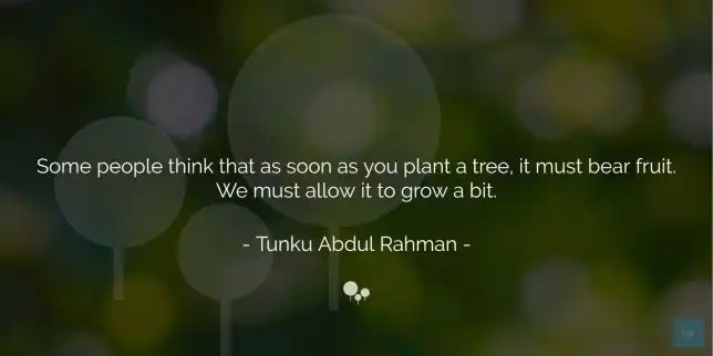 Some people think that as soon as you plant a tree, it must bear fruit. We must allow it to grow a bit. -Tunku Abdul Rahman   quote