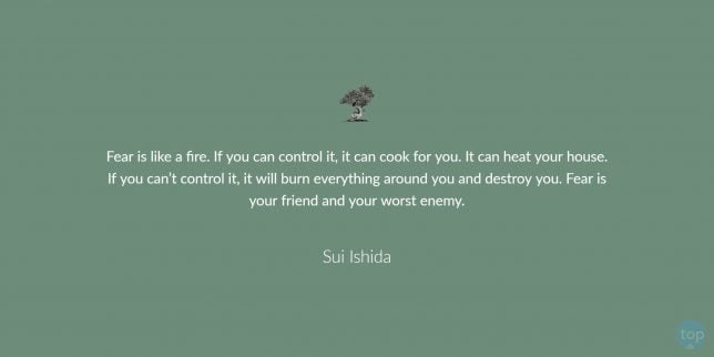 Fear is like a fire. If you can control it, it can cook for you. It can heat your house. If you can’t control it, it will burn everything around you and destroy you. Fear is your friend and your worst enemy. - Sui Ishida quote