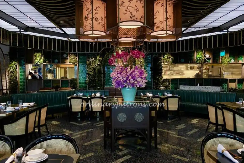 Mott 32 MBS