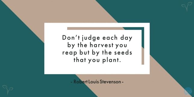 Don't judge each day by the harvest you reap but by the seeds that you plant. - Robert Louis Stevenson
uote
