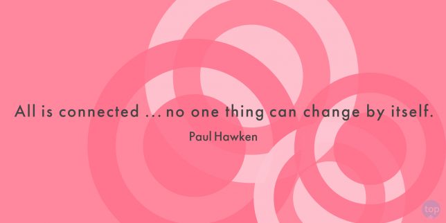 All is connected ... no one thing can change by itself. - Paul Hawken

quote