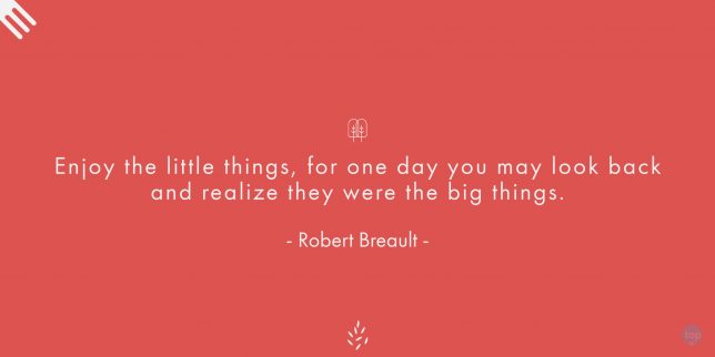 Enjoy the little things, for one day you may look back and realize they were the big things. - Robert Breault

quote