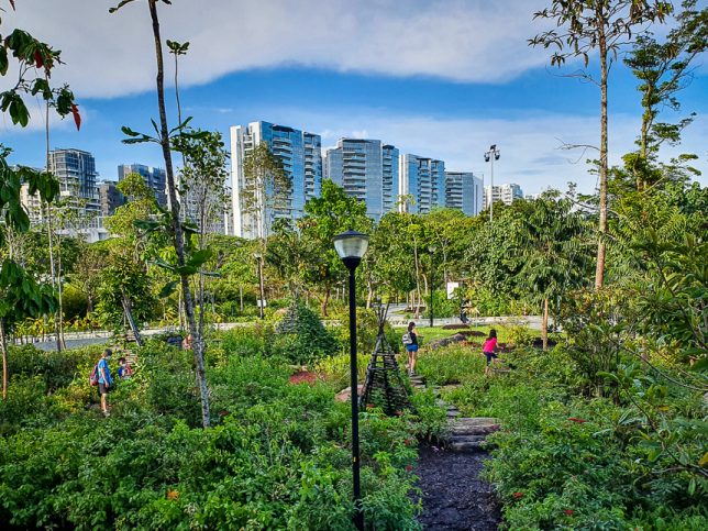 nature playgarden at Coastal PlayGrove