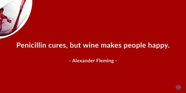 Penicillin cures, but wine makes people happy – Sir Alexander Fleming

quote