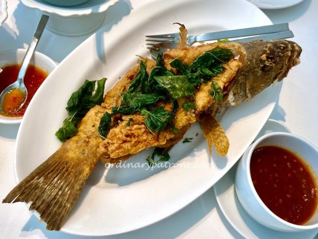 Thanying Thai Restaurant review - Amara Hotel 