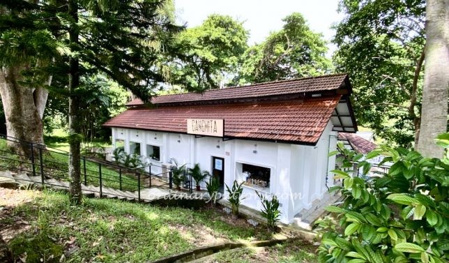 Canchita Peruvian Cuisine Dempsey