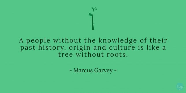 A people without the knowledge of their past history, origin and culture is like a tree without roots.
- Marcus Garvey
quote