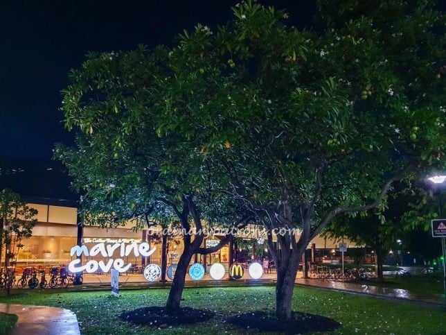 Marine Cove at Night